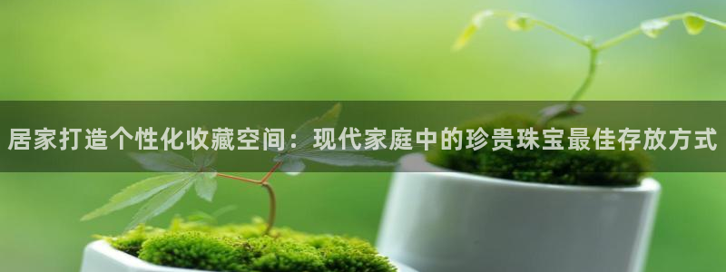 新航娱乐公司艺人招聘：居家打造个性化收藏空间：现代家庭中的珍