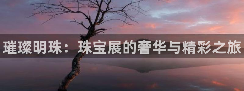 新航娱乐是干嘛的：璀璨明珠：珠宝展的奢华与精彩之旅