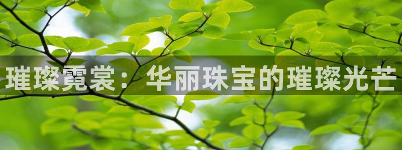新航娱乐公司问题解决
