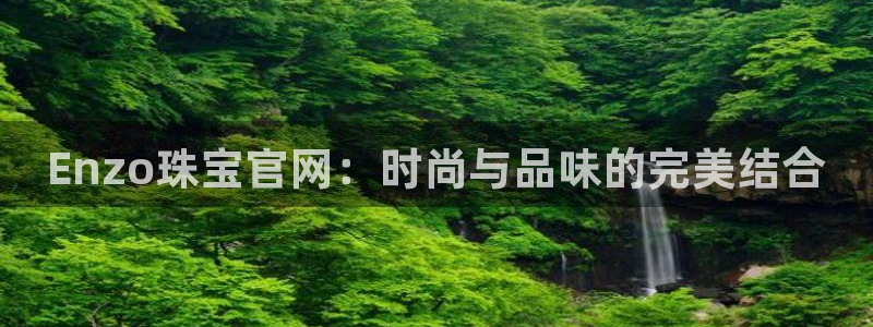 新航娱乐传媒招聘信息网