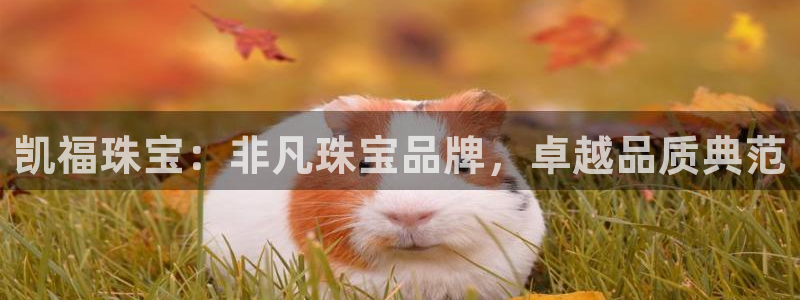 新航娱乐值得买吗：凯福珠宝：非凡珠宝品牌，卓越品质典范