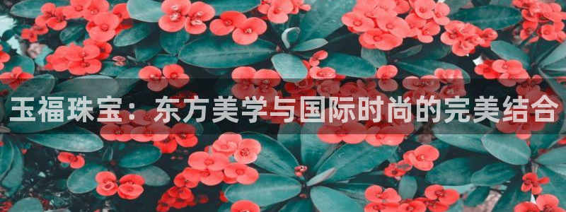 新航面试娱乐