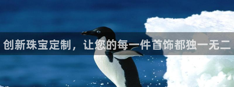 新航娱乐公司简介