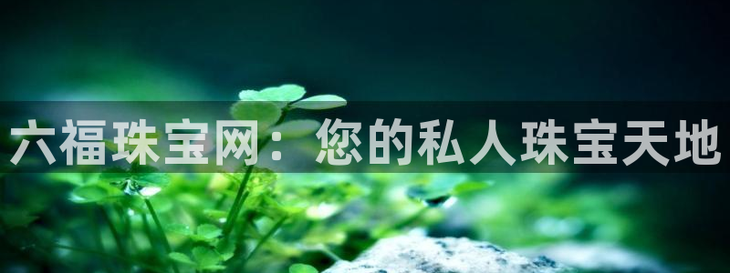 岛城娱乐新航向