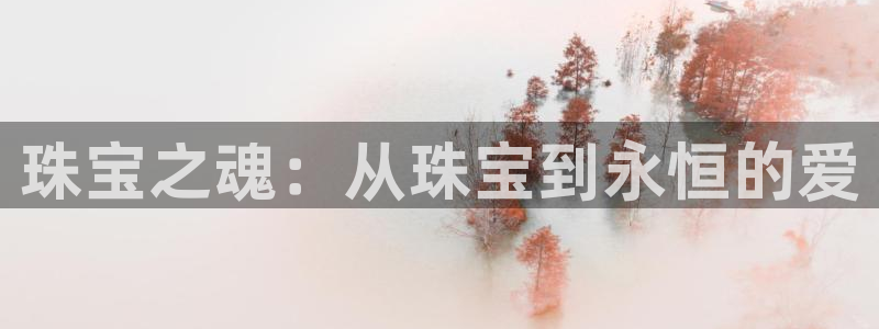 新航娱乐最高返点多少