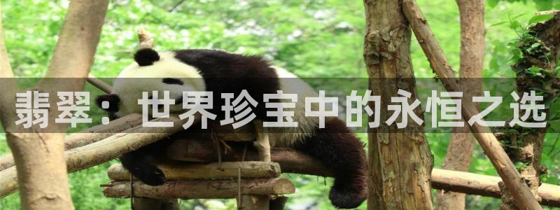 新航娱乐平台登录入口