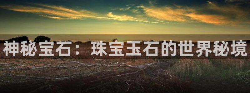 餐饮娱乐新航向