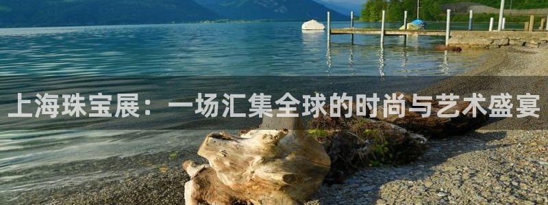 新航娱乐公司地址电话