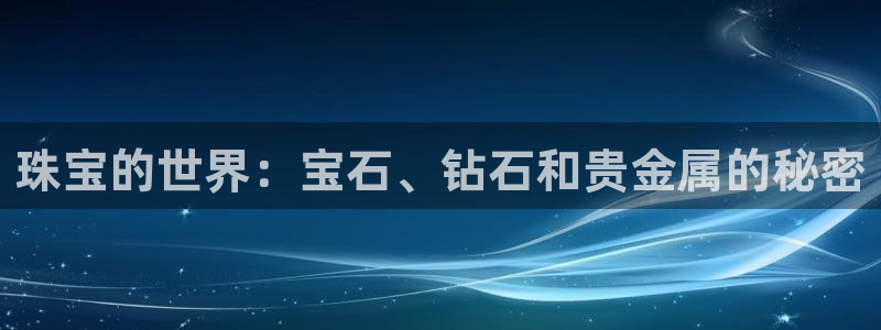 新航娱乐公司简介资料