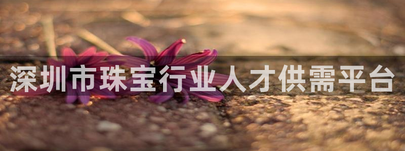 新航新客舱机上娱乐银