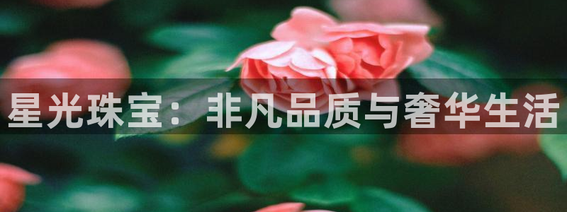 新航娱乐平台app下载