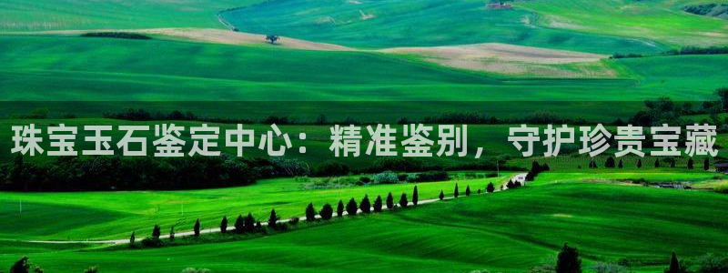 新航娱乐公司简介图片