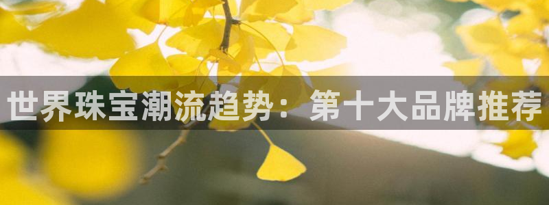 新航娱乐公司地址在哪里