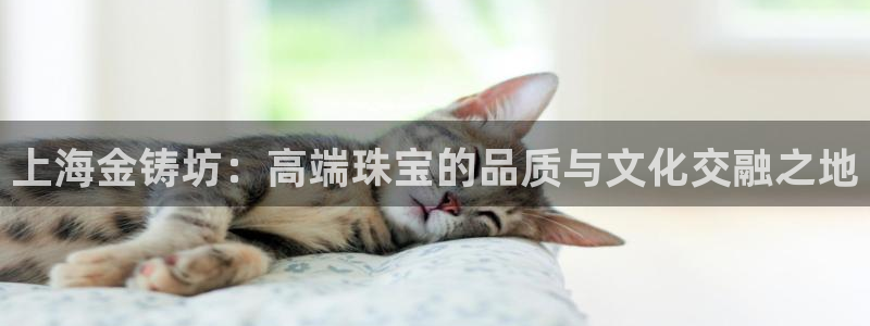 新航线娱乐会所：上海金铸坊：高端珠宝的品质与文化交融之地
