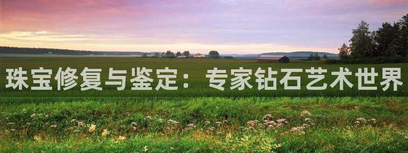 新航娱乐登陆：珠宝修复与鉴定：专家钻石艺术世界