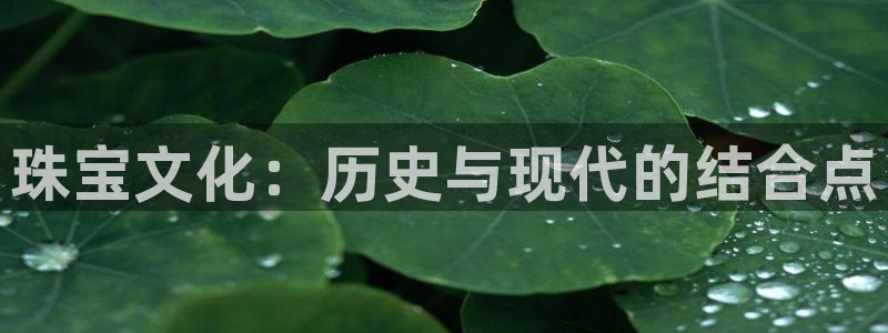 新航娱乐公司招聘信息