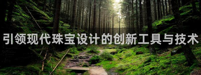 新航娱乐旗下艺人列表：引领现代珠宝设计的创新工具与技术