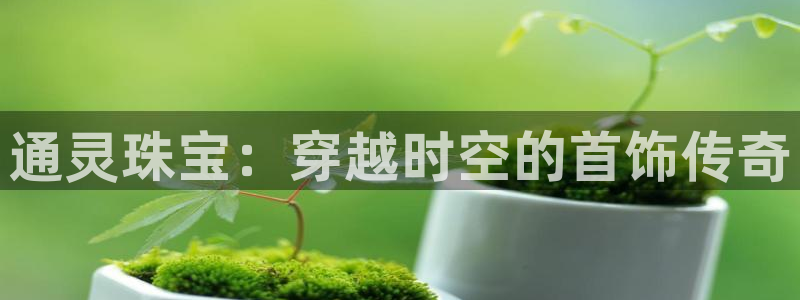 新航娱乐公司地址在哪里：通灵珠宝：穿越时空的首饰传奇