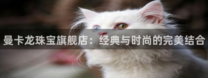 新航娱乐的创始人简介