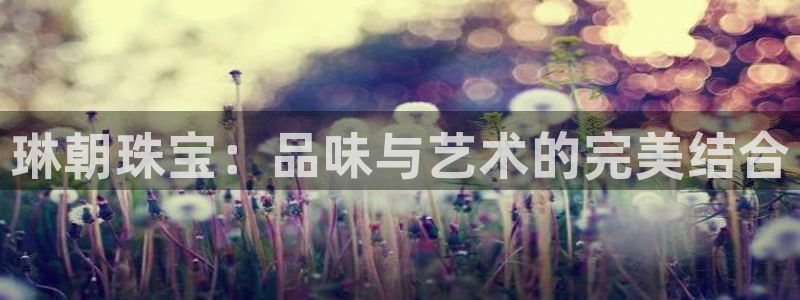 新航娱乐官网登录入口