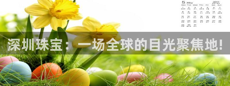 新航娱乐扣款详情