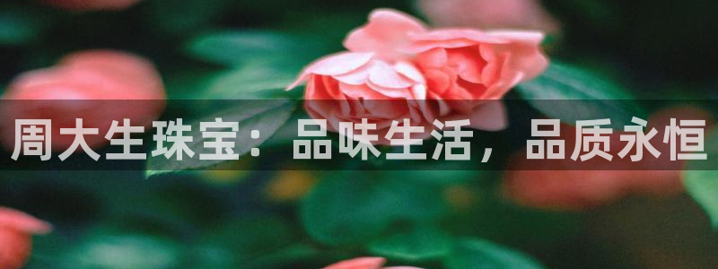 新航头等舱套房娱乐屏:周大生珠宝:品味生活,品质永恒