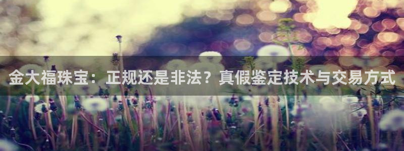 新航娱乐传媒招聘