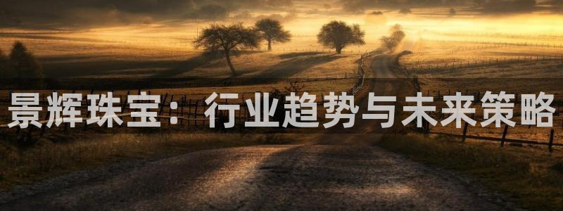 新航娱乐公司简介资料:景辉珠宝:行业趋势与未来策略