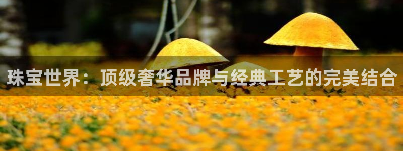 新航线辉煌娱乐会所:珠宝世界:顶级奢华品牌与经典工艺的完美结