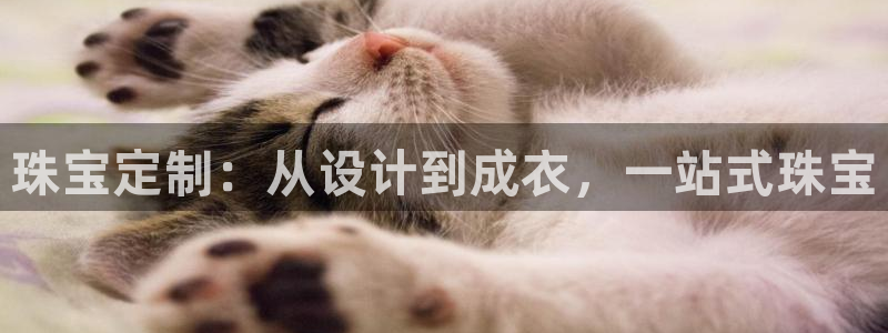 新航娱乐观:珠宝定制:从设计到成衣,一站式珠宝